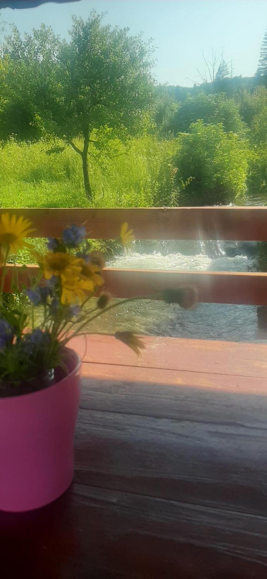 Guest House Mila Plitvicki Ljeskovac Exterior foto